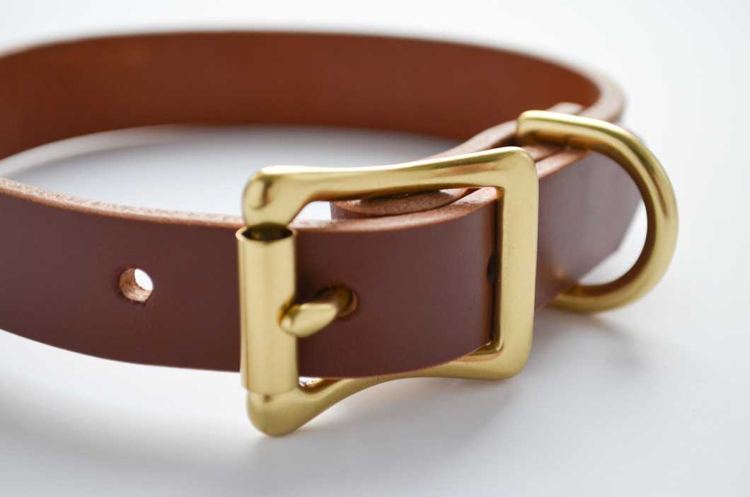 Bridle dog collar