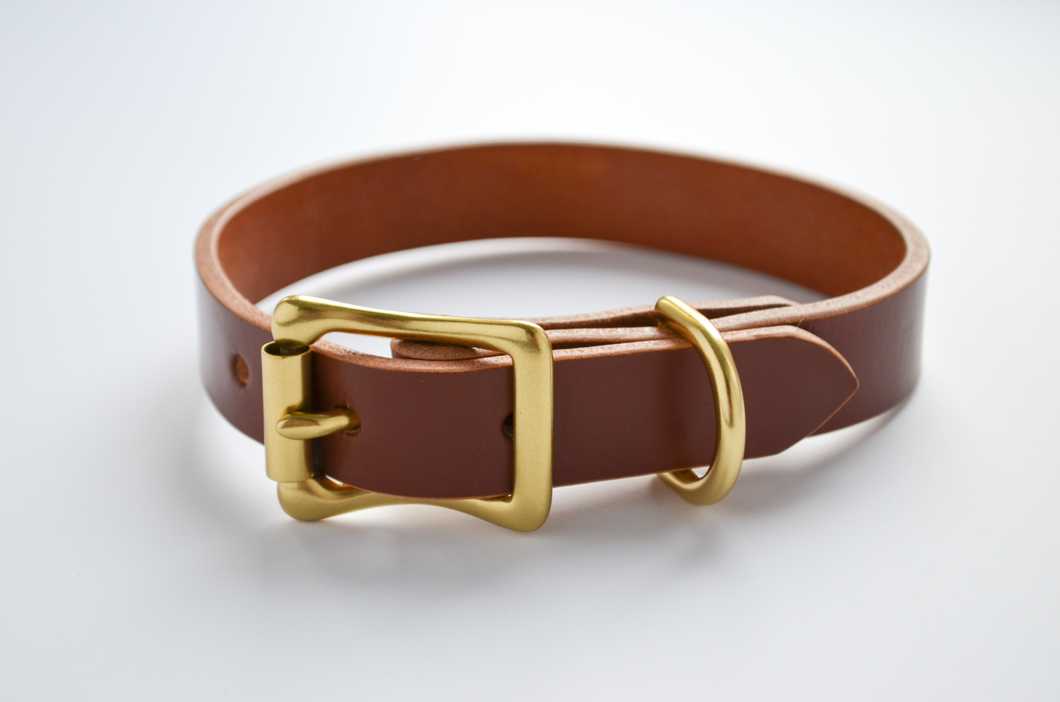 Bridle dog collar